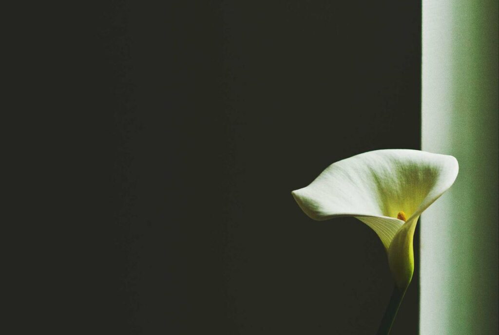 Studio creativo — hero